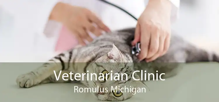 Veterinarian Clinic Romulus Michigan