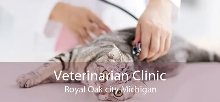 Veterinarian Clinic Royal Oak city Michigan