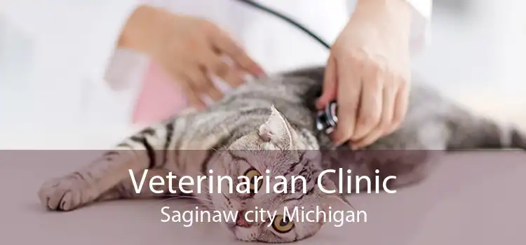 Veterinarian Clinic Saginaw city Michigan