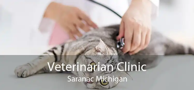 Veterinarian Clinic Saranac Michigan