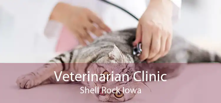 Veterinarian Clinic Shell Rock Iowa