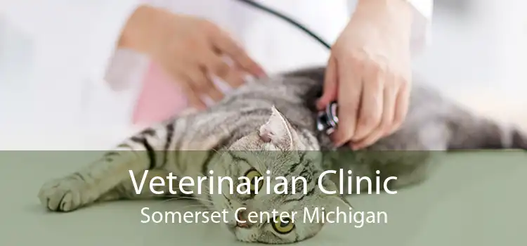 Veterinarian Clinic Somerset Center Michigan