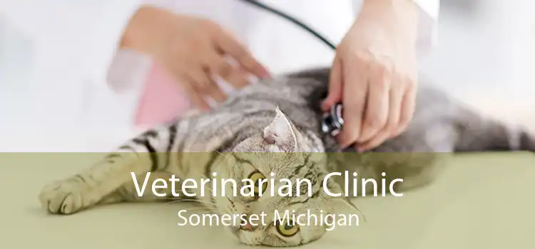 Veterinarian Clinic Somerset Michigan