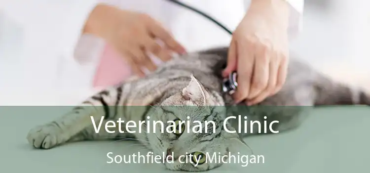 Veterinarian Clinic Southfield city Michigan