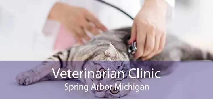 Veterinarian Clinic Spring Arbor Michigan