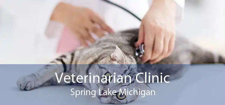 Veterinarian Clinic Spring Lake Michigan