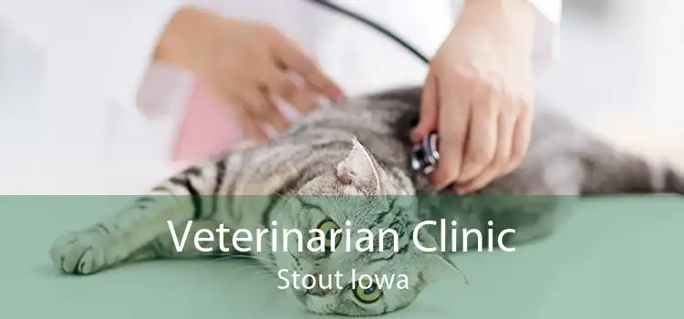 Veterinarian Clinic Stout Iowa