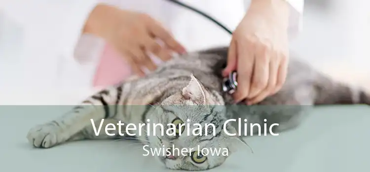 Veterinarian Clinic Swisher Iowa