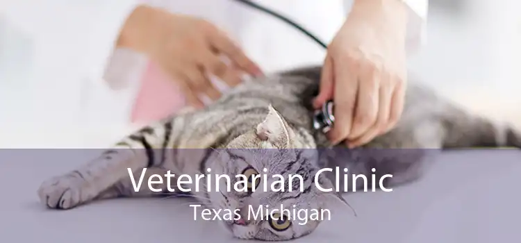 Veterinarian Clinic Texas Michigan