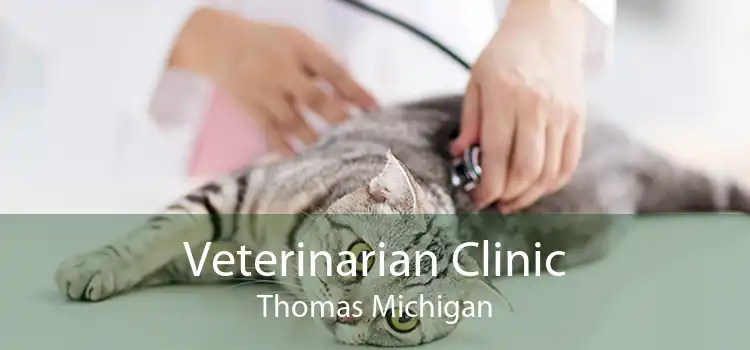 Veterinarian Clinic Thomas Michigan