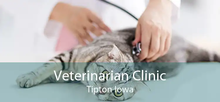 Veterinarian Clinic Tipton Iowa