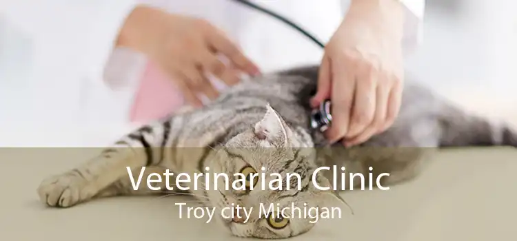 Veterinarian Clinic Troy city Michigan