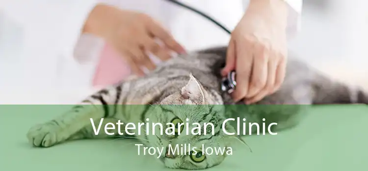 Veterinarian Clinic Troy Mills Iowa