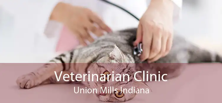 Veterinarian Clinic Union Mills Indiana