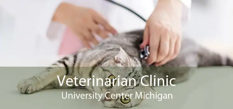 Veterinarian Clinic University Center Michigan