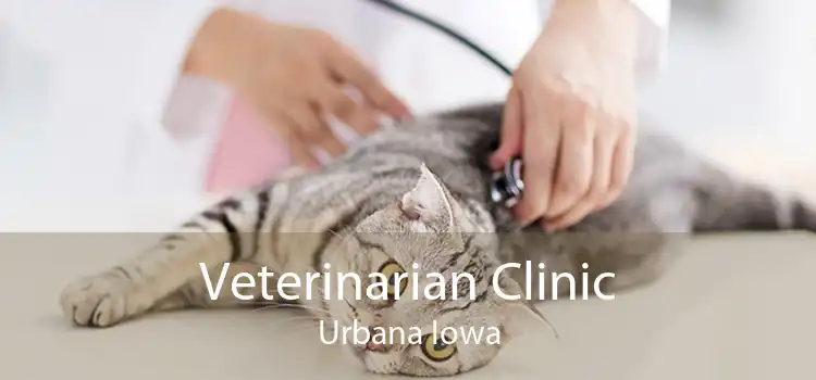 Veterinarian Clinic Urbana Iowa
