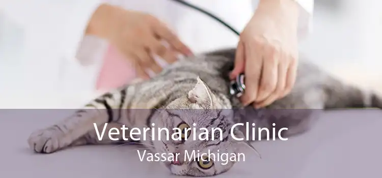Veterinarian Clinic Vassar Michigan