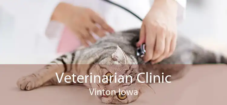 Veterinarian Clinic Vinton Iowa