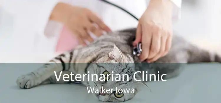 Veterinarian Clinic Walker Iowa