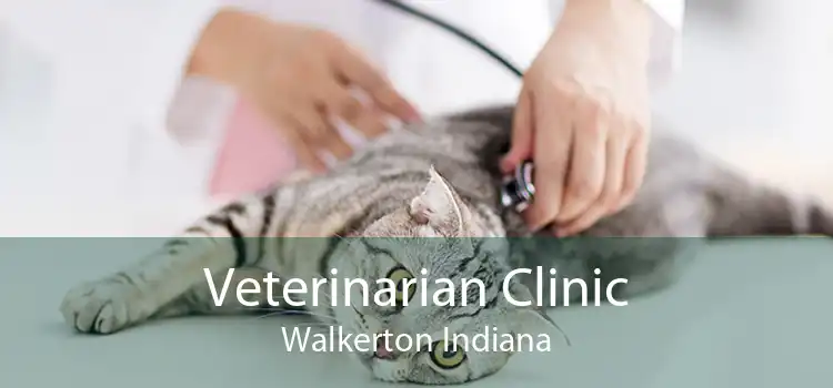 Veterinarian Clinic Walkerton Indiana