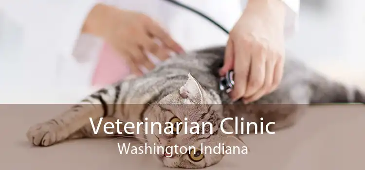Veterinarian Clinic Washington Indiana