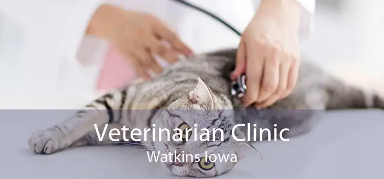 Veterinarian Clinic Watkins Iowa