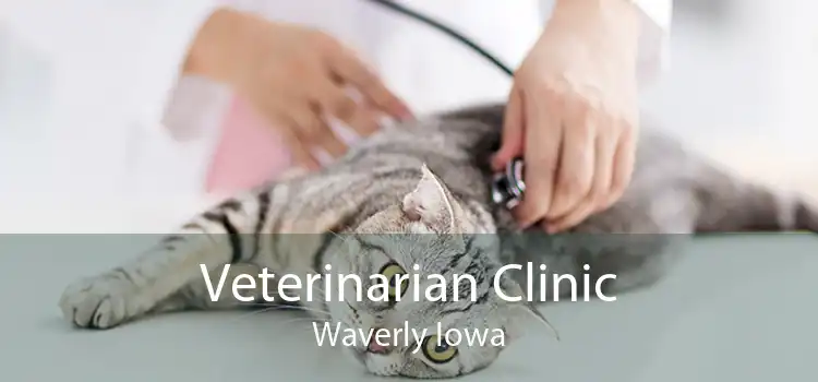 Veterinarian Clinic Waverly Iowa