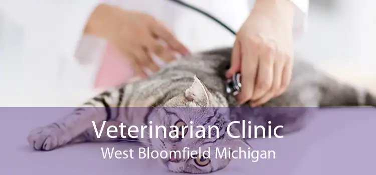 Veterinarian Clinic West Bloomfield Michigan