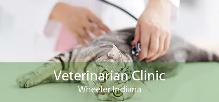 Veterinarian Clinic Wheeler Indiana