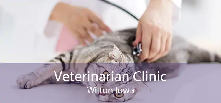Veterinarian Clinic Wilton Iowa
