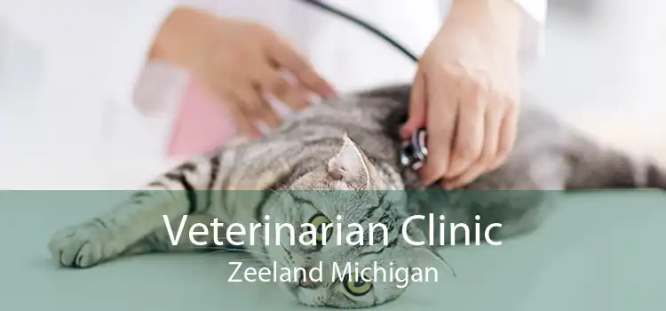 Veterinarian Clinic Zeeland Michigan
