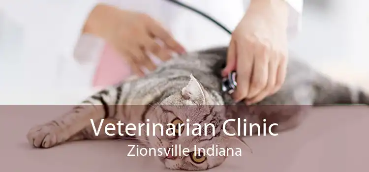 Veterinarian Clinic Zionsville Indiana