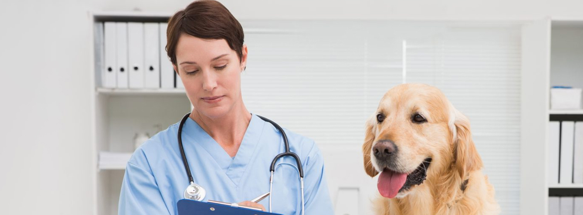 Veterinarian Clinic Peru - Emergency Vet And Pet Clinic Near Me