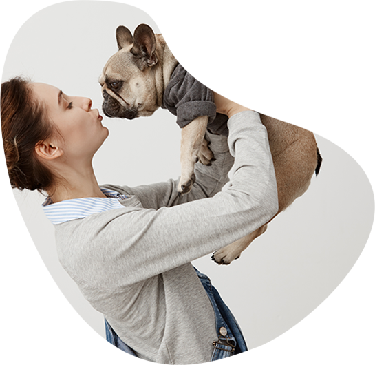 best Bedford township veterinarian clinic