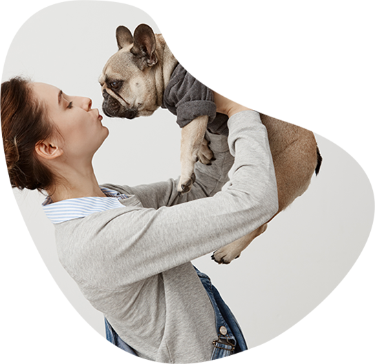 Bay city best sale pet hospital