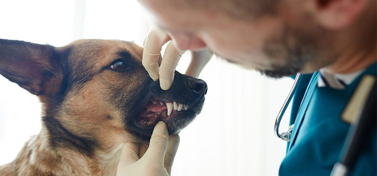 Anesthetic Dentistry in Tipton